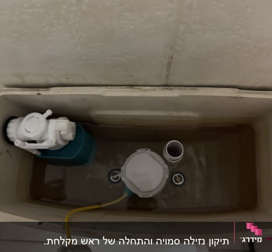 מיכל הדחה עם חלקים פנימיים